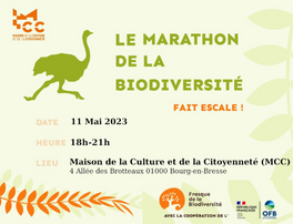 Fresque de la biodiversité