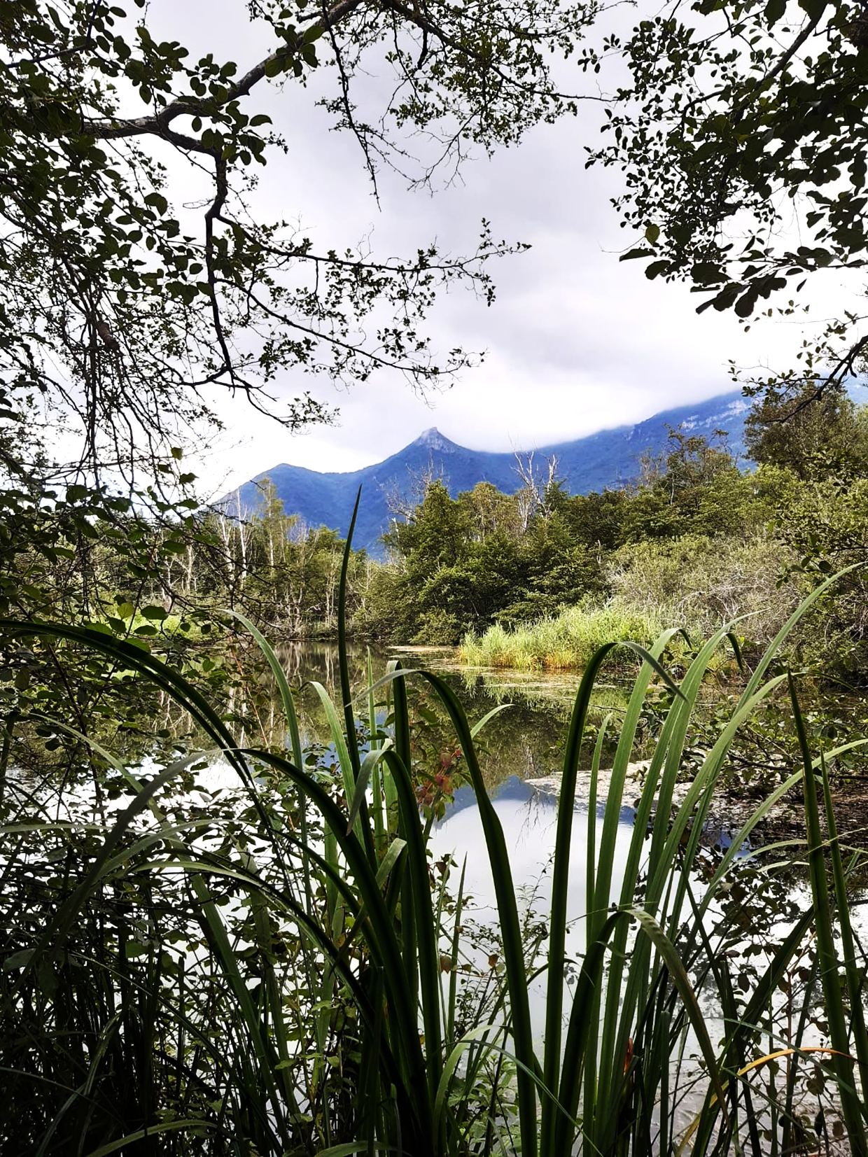 Diagnostic territorial de l&rsquo;Économie Sociale et Solidaire : un outil au service du développement des territoires de l&rsquo;Ain