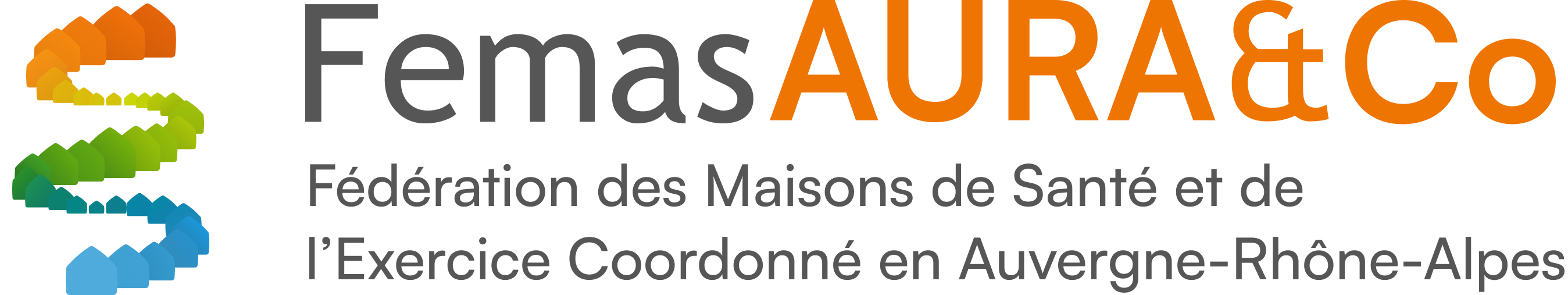 Fédération des Maisons de santé et de l&rsquo;exercice Coordonné en Auvergne Rhône-Alpes